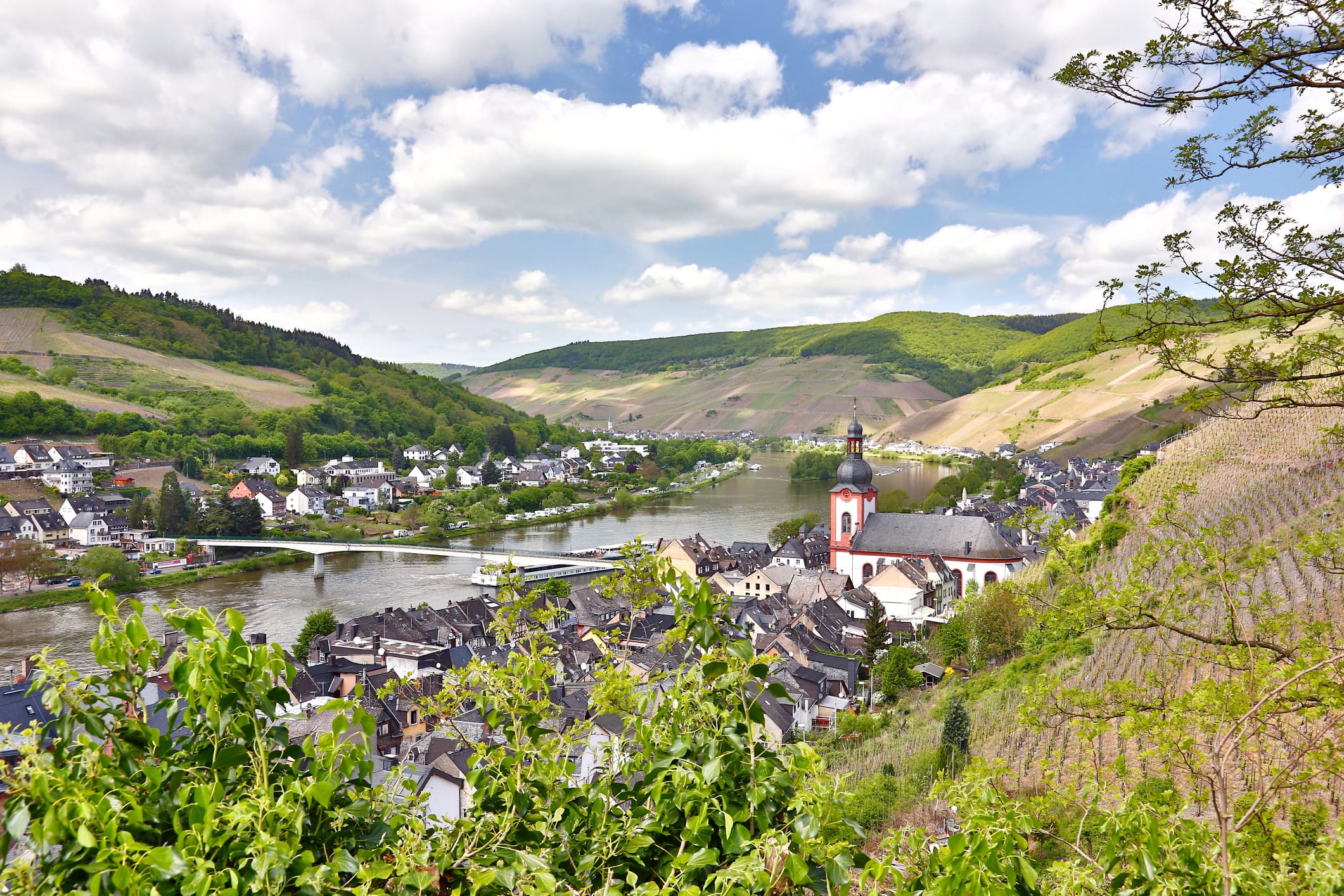 Vista dalla Marienburg sul meandro della Mosella presso Zell, con vigneti su entrambe le rive