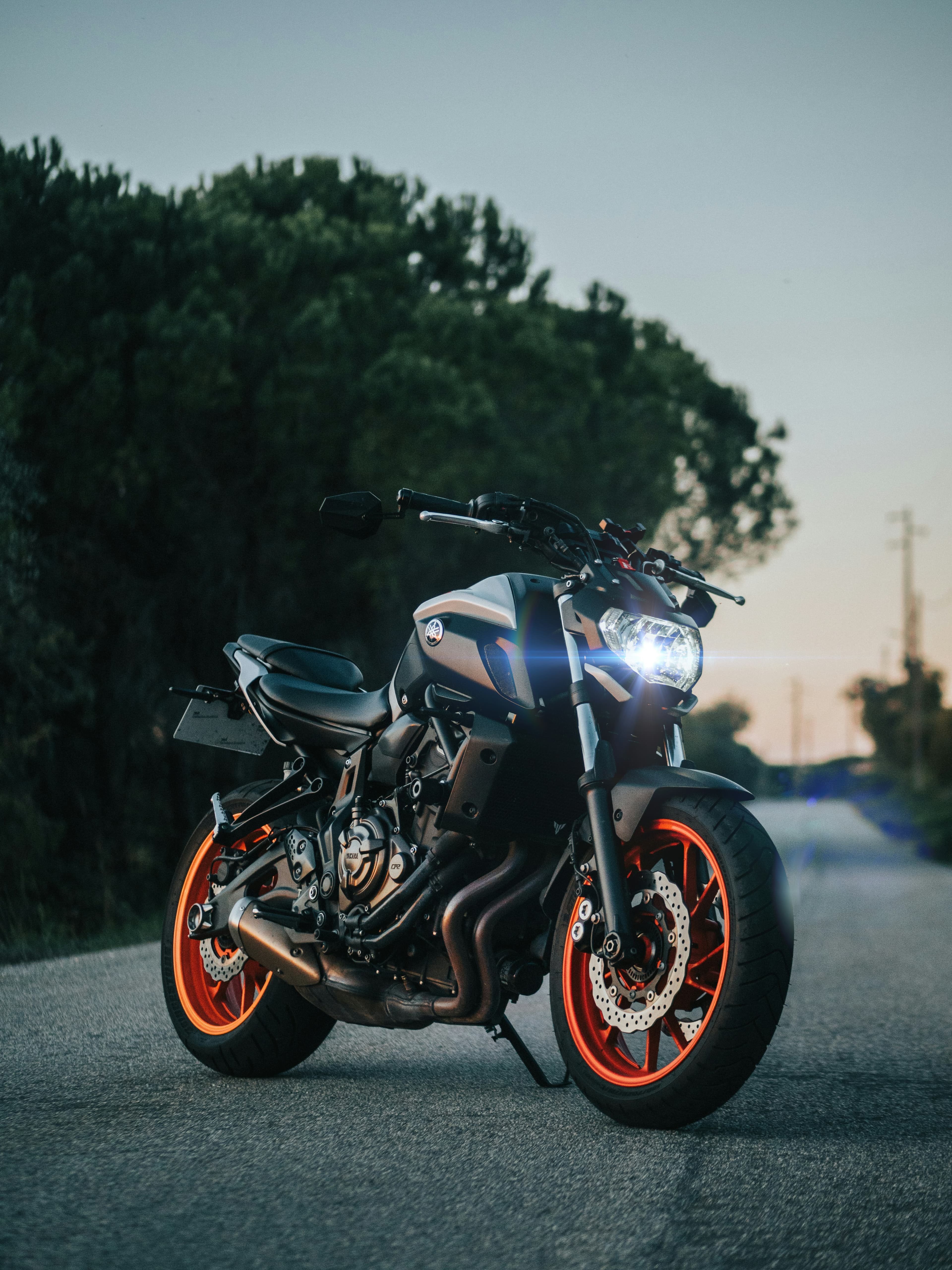 ricardo-carvalho-grb9xfdippc-unsplash