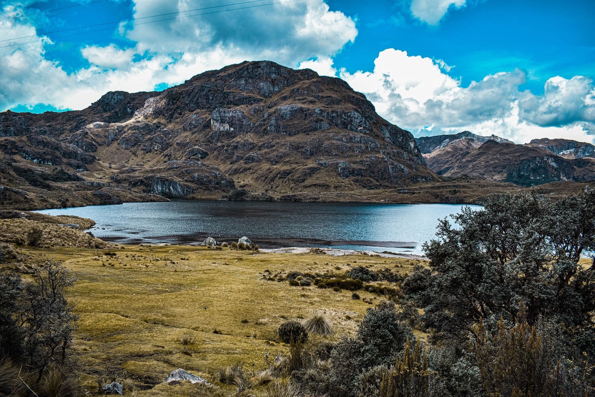 naturaleza-5075023_1920.jpg